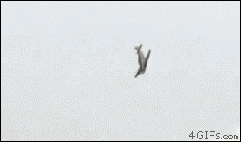 Gifs