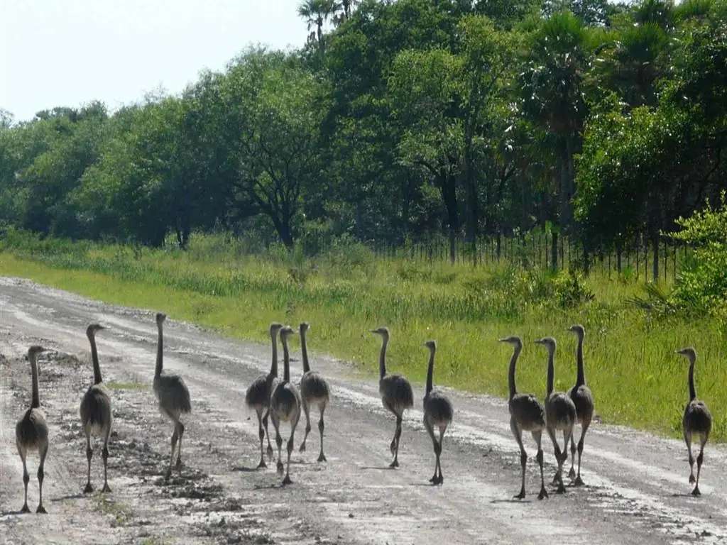 [MegaPost]Paraguay, de verdad lo conoces?