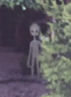 Criptozoologia.extraterrestres,deformidades humanas