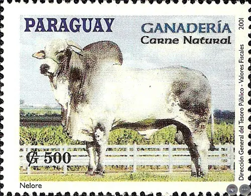 paraguay