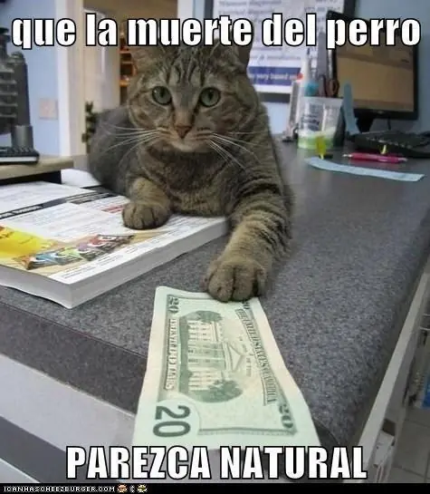 Chistes