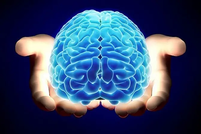 cerebro