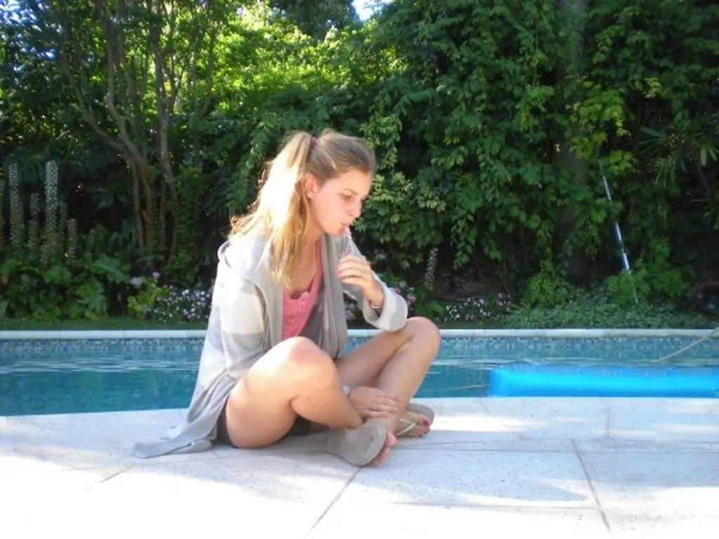 yerba mate