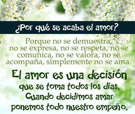 ¿Qué te parece el amor?