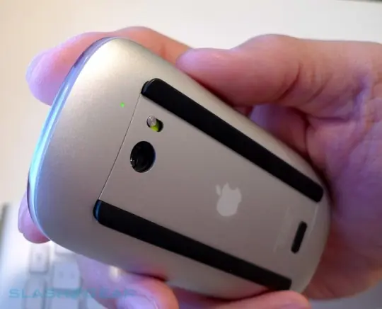 mouse