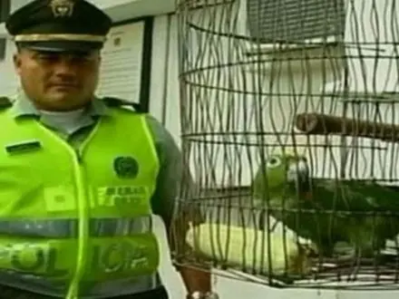 Delatado por su loro en un control de alcohol