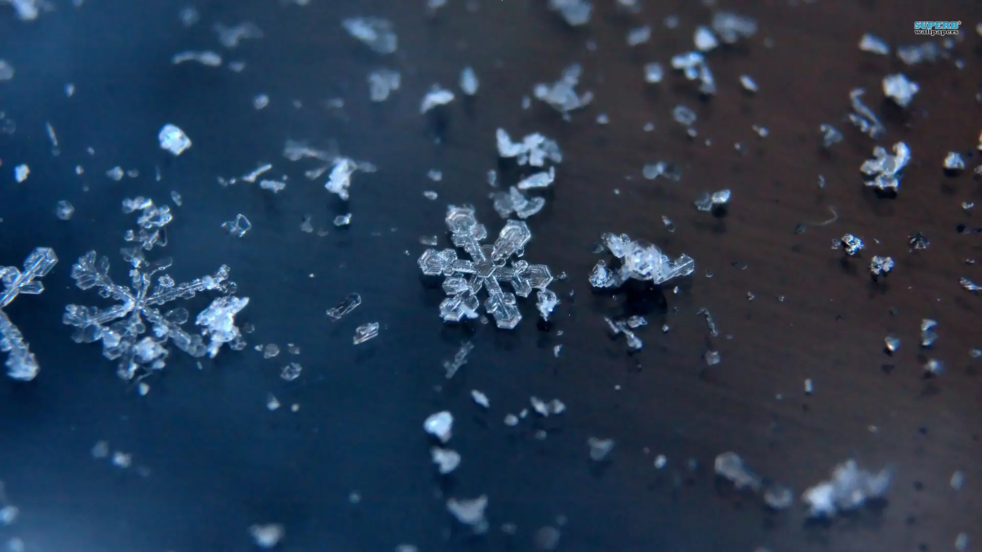 ¿Cómo se forman los copos de nieve? [Llevate un wallpaper]