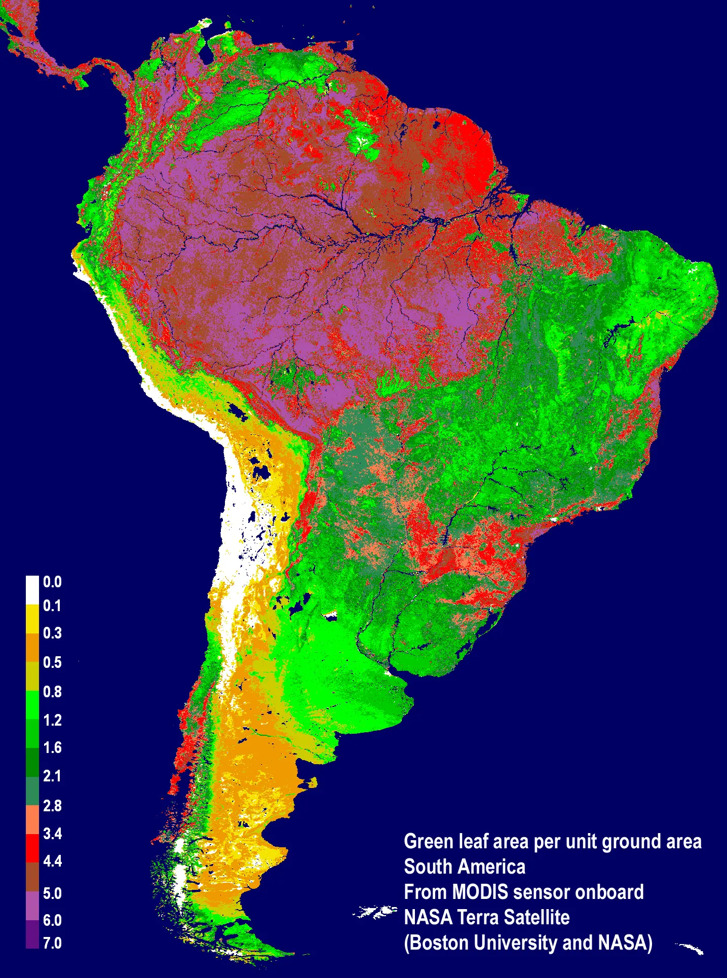 bosques