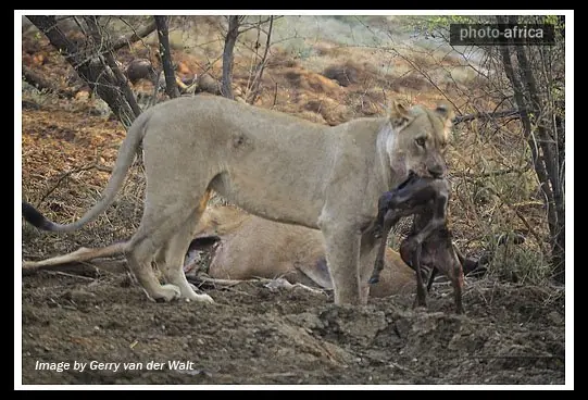 Increible acto nunca antes visto