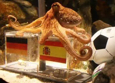 Más aciertos del Pulpo Paul