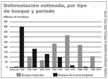 El fin de los Bosques del Mundo
