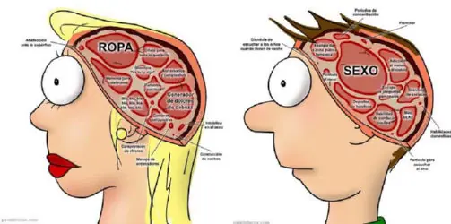Diferencias entre hombres y mujeres II: