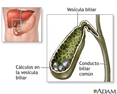 medicina