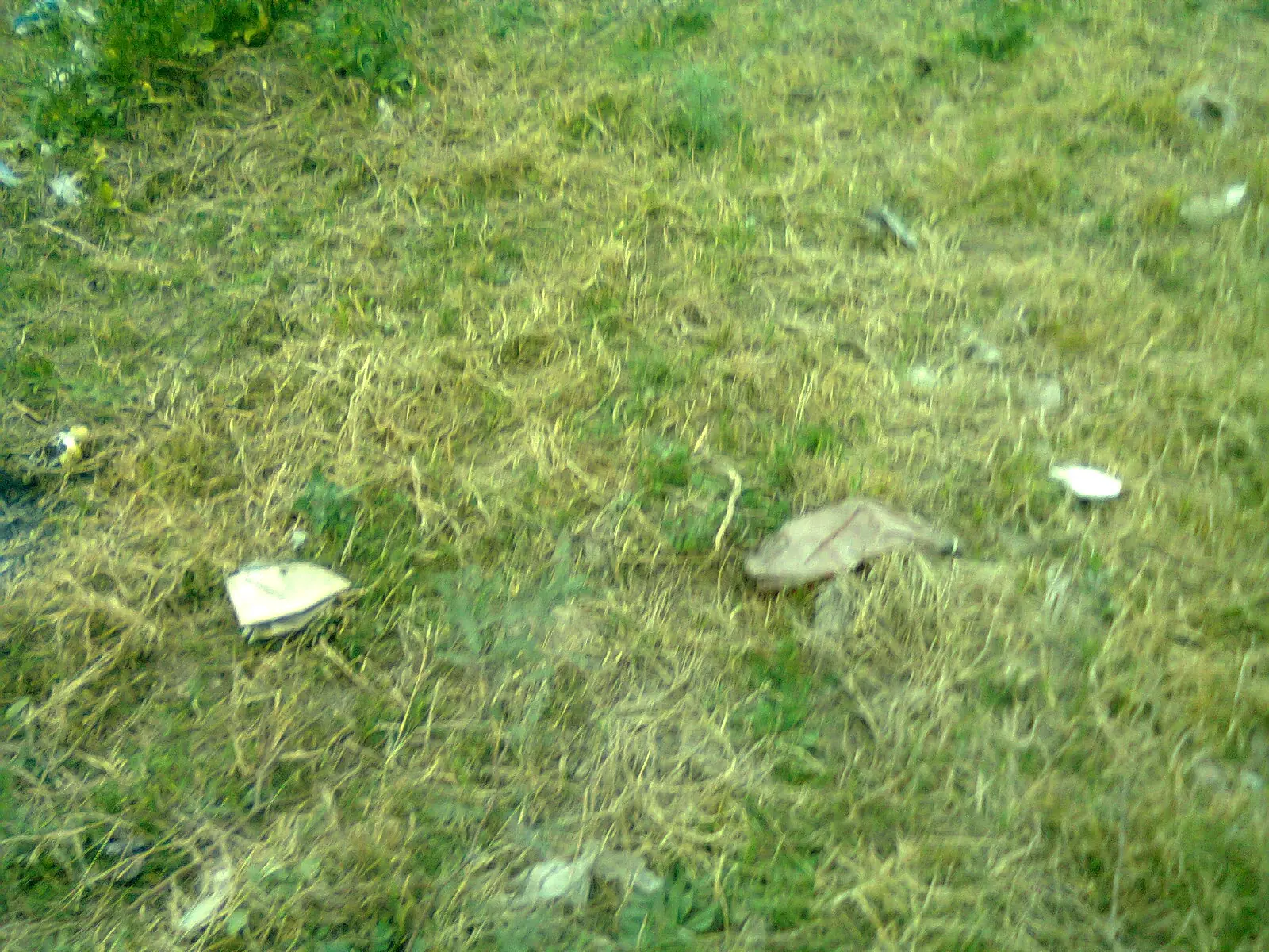 terreno