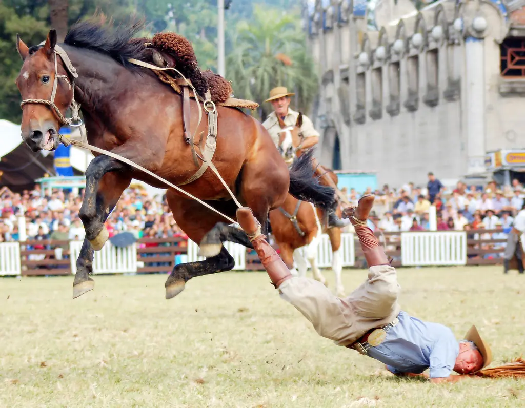 momento