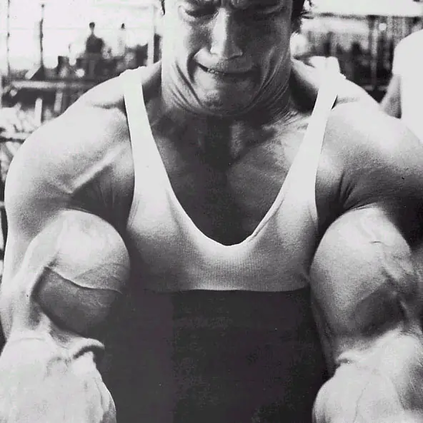 terminator