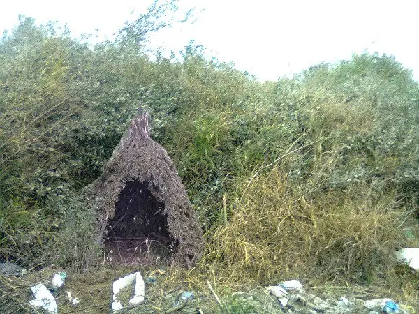 terreno