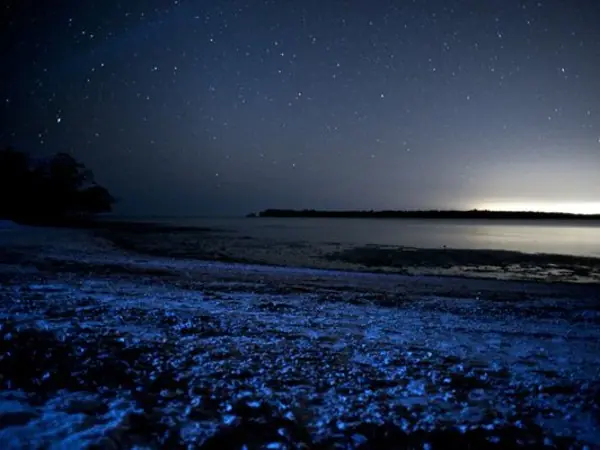 Fenomenos Naturales En Nuestro Planeta [Gif+Img+Info]