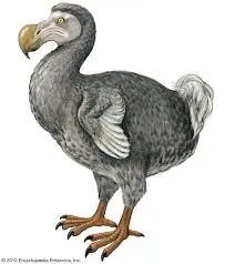 10 animales ya extintos