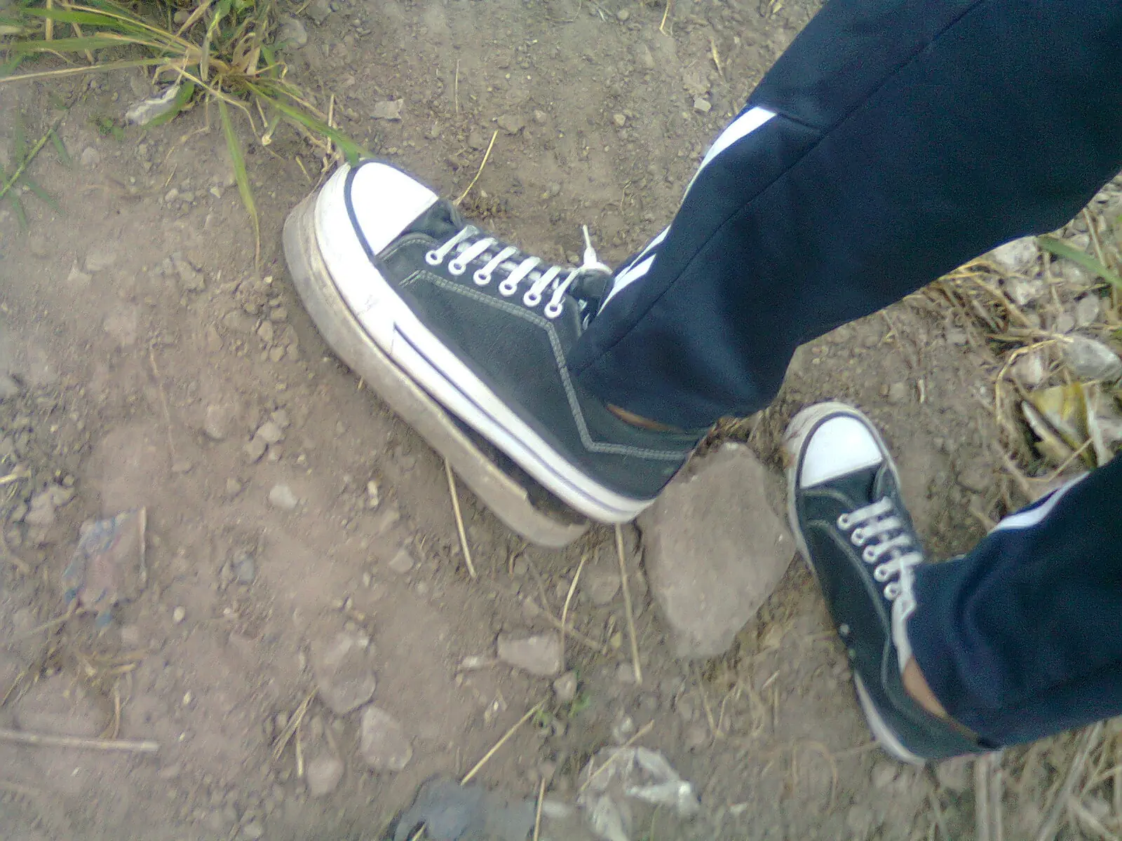 Broma