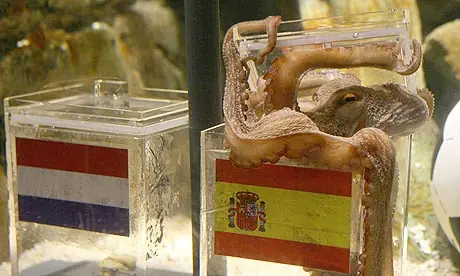 Especial: Pulpo a la gallega