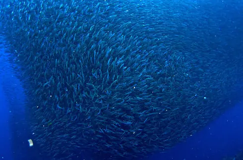 Fenomenos Naturales En Nuestro Planeta [Gif+Img+Info]