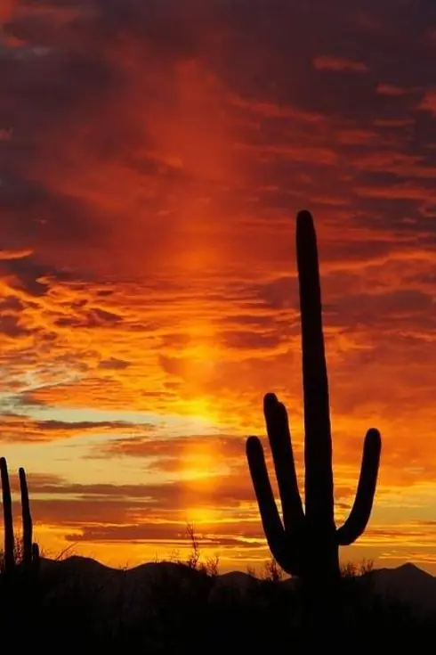 Fenomenos Naturales En Nuestro Planeta [Gif+Img+Info]