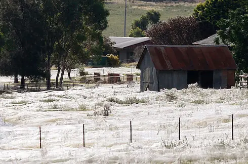 Fenomenos Naturales En Nuestro Planeta [Gif+Img+Info]