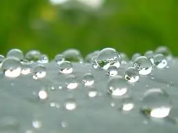 Hipnótico: mira lo que pasa con el agua.