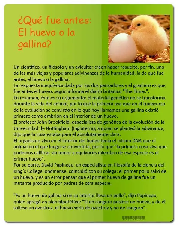curiosidades