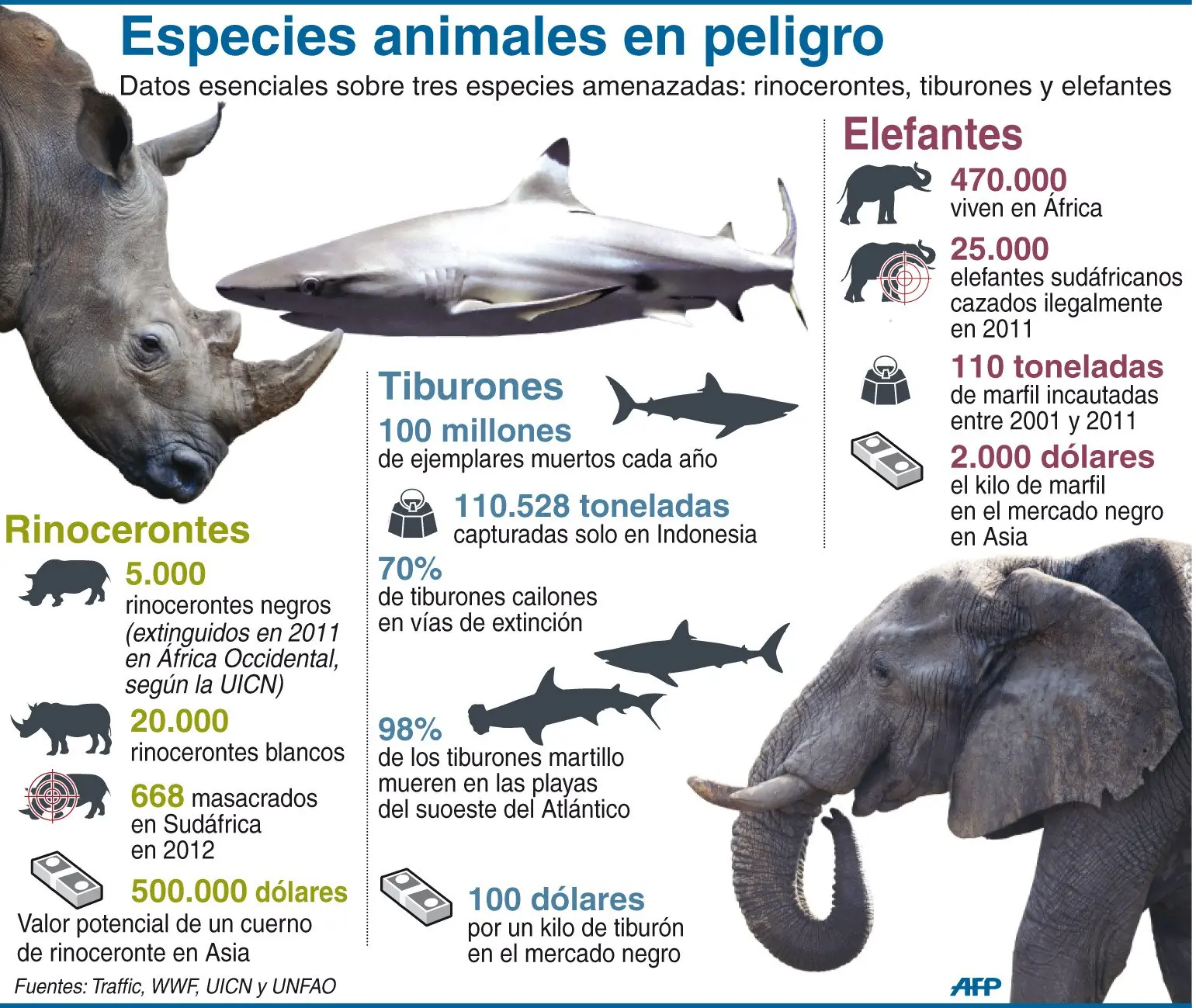 extincion