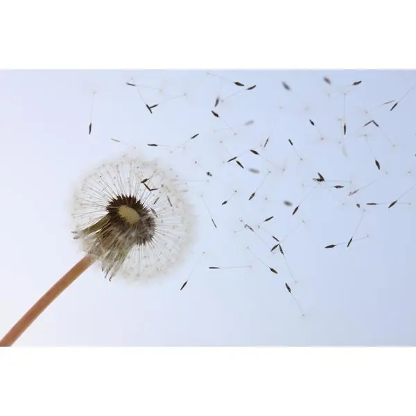 de