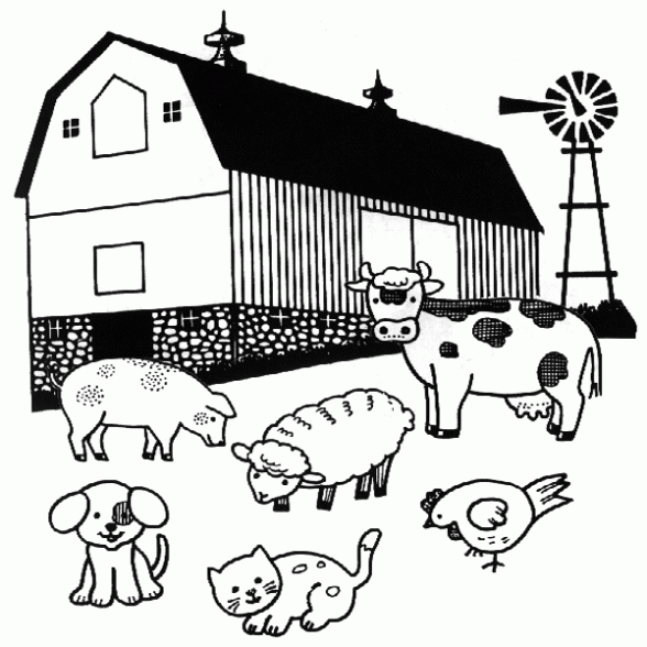 Riesgos del mal uso de los antibióticos en los animales