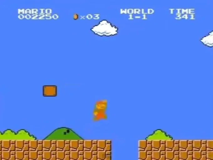 Mario Bros