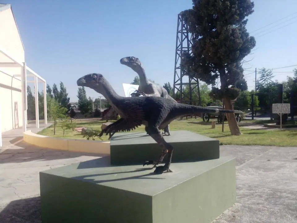 Encontre huevo de dinosaurio y te lo muestro