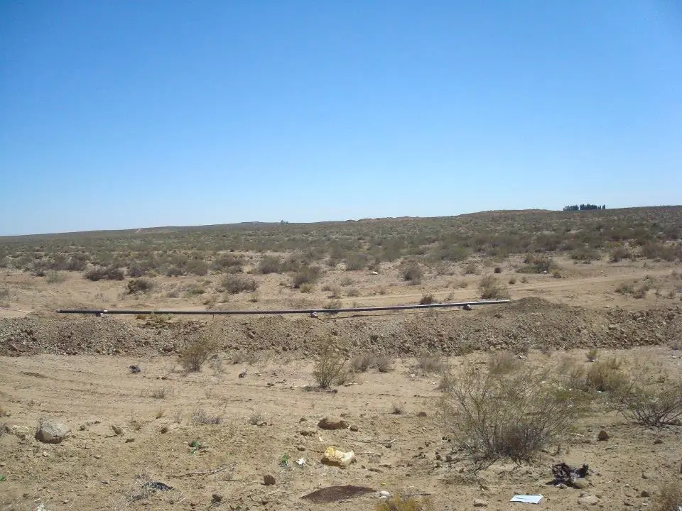 Encontre huevo de dinosaurio y te lo muestro