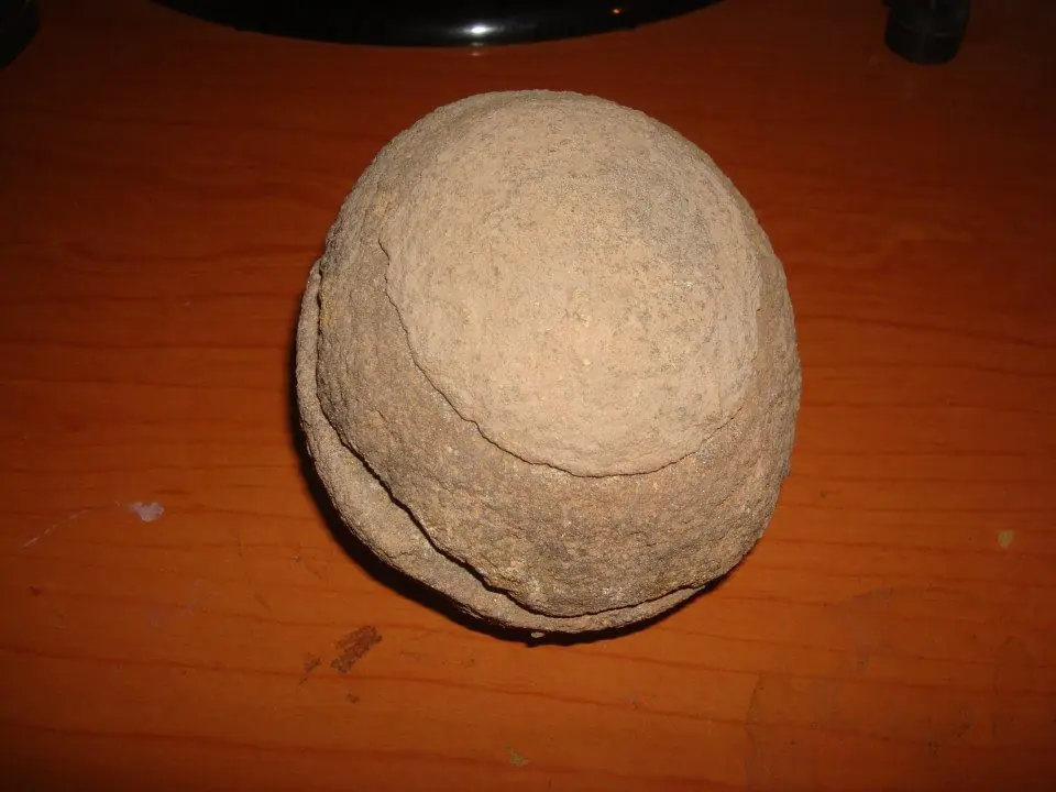 fosil