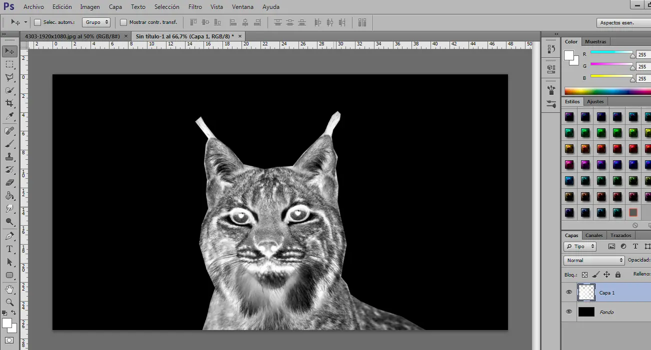 lince