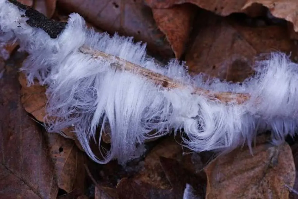 fenomenos naturales