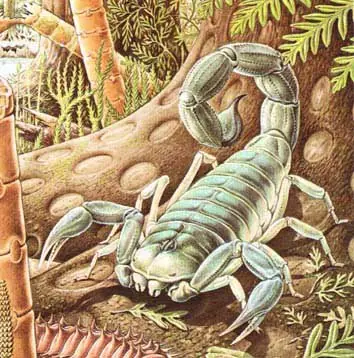 especies