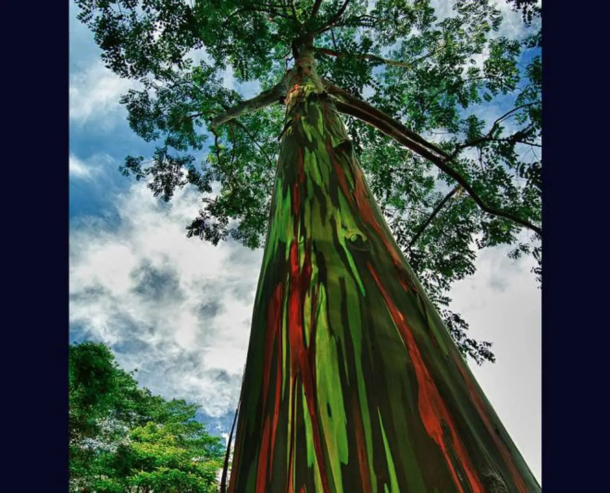 naturaleza