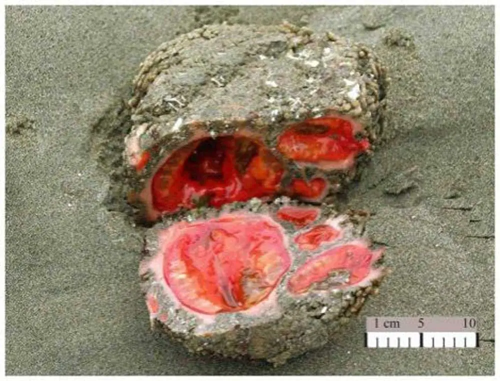 naturaleza