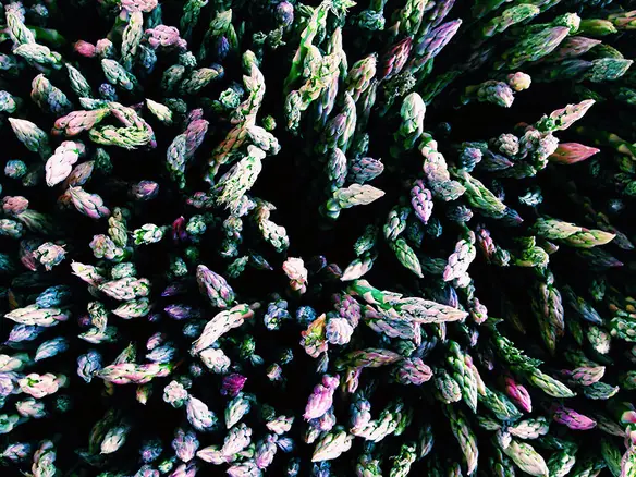 Las mejores fotos del mundo con Iphone