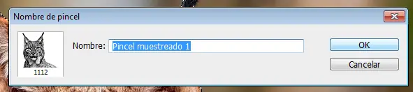 tutorial lince
