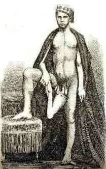 humanos