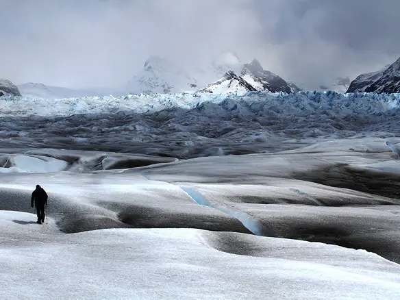 Las mejores fotos del mundo con Iphone