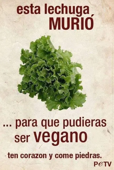 Debate vegetariano/carnivoro