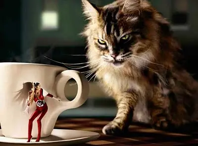 + 10 Si no sabías algo de esto.