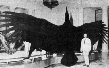 extintos