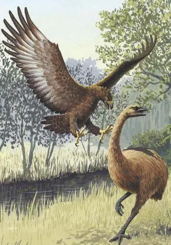 prehistoricos